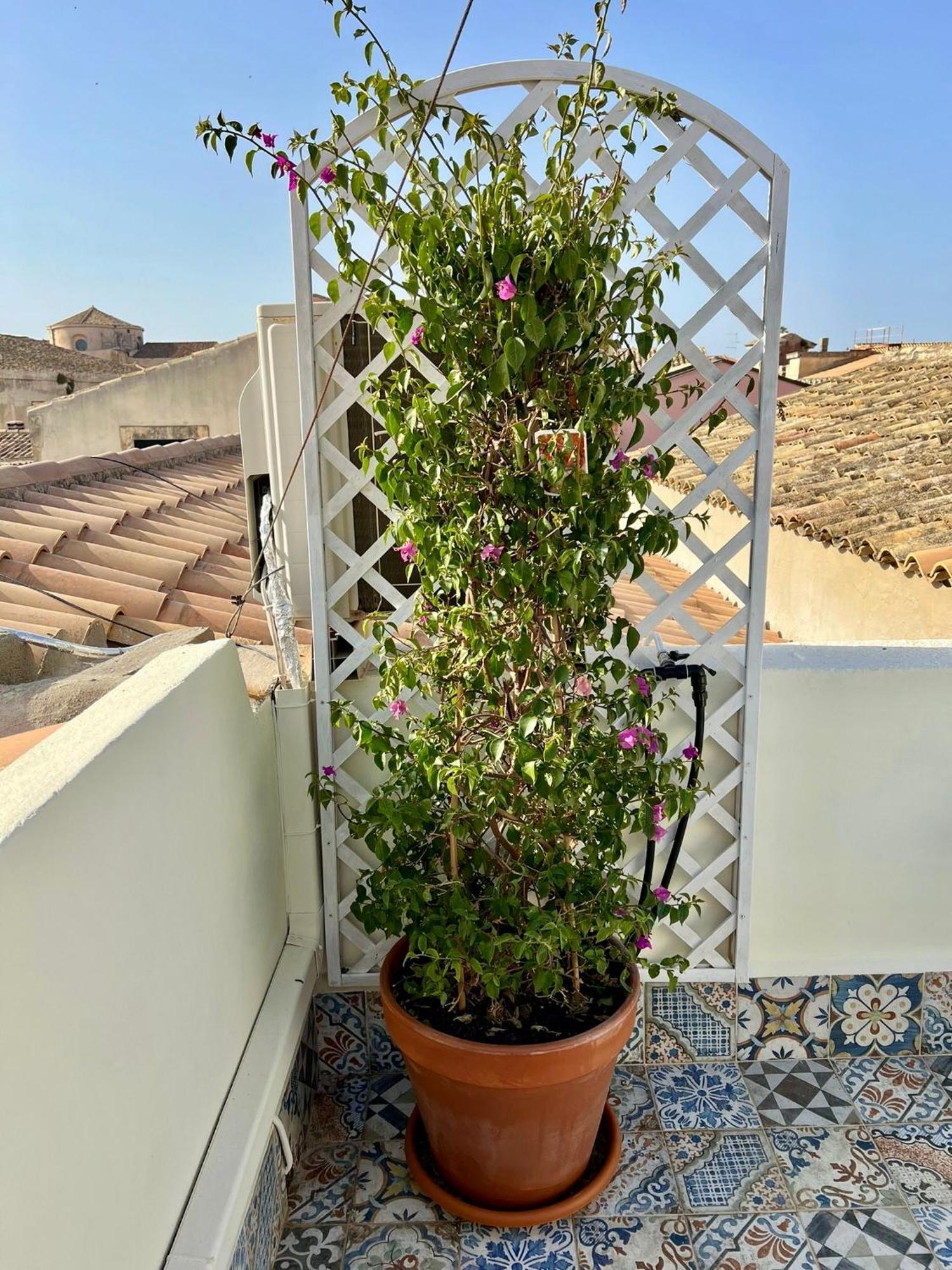 Incantevole Appartamento In Palazzo Storico Ortigia Συρακούσες Εξωτερικό φωτογραφία